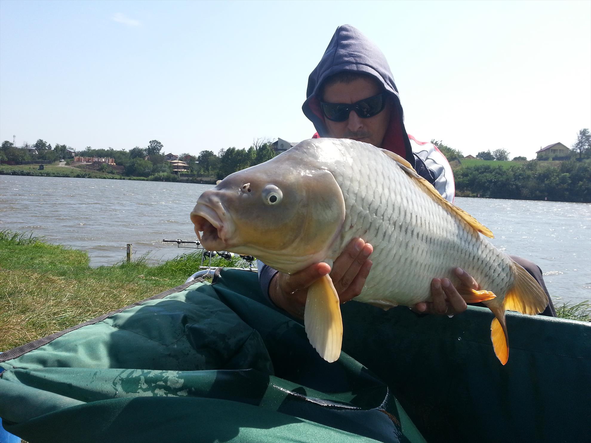 Moara Vlasiei 2 5 septembrie 2014 - 20140905140345.jpg